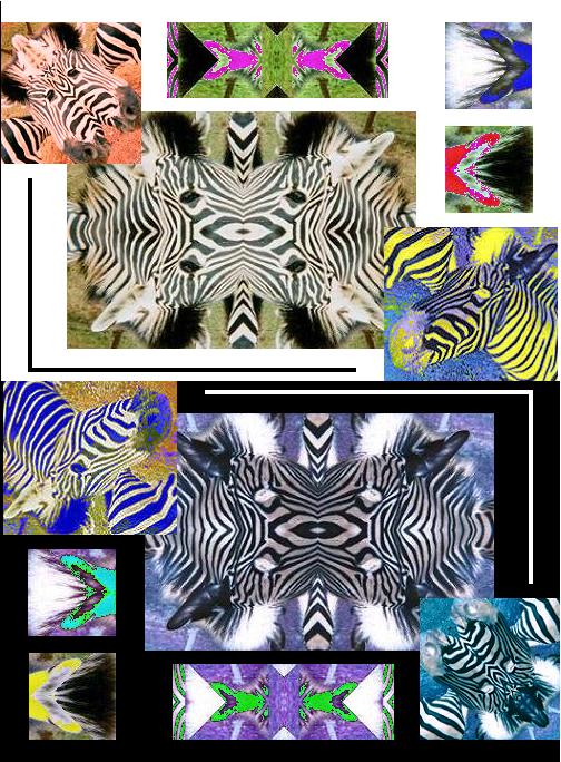 Uploaded Image: zebracollage.jpg