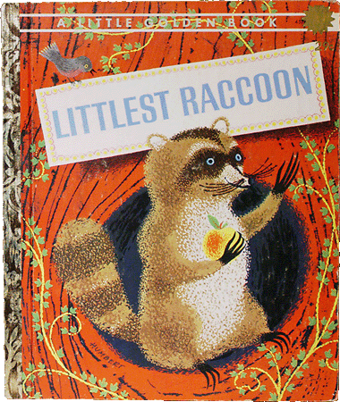 Littlest Raccoon