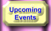 What's happening at Tree of Tife