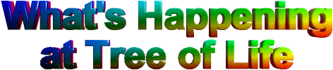 happen.gif (19110 bytes)