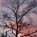 DSC 0066 Tn